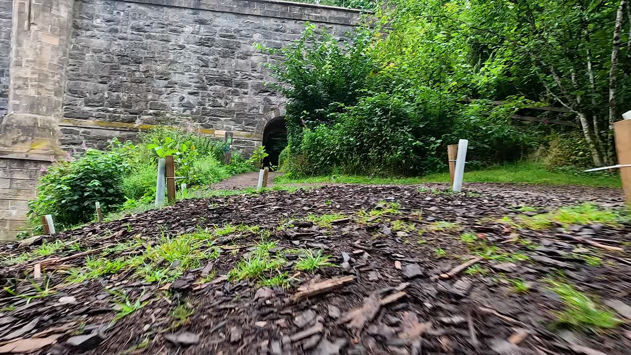 돌 구조물 근처의 울창한 숲을 가로질러 가는 길