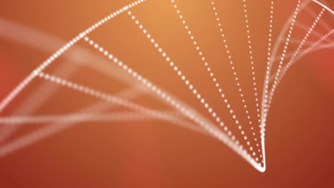 animación de una cadena de adn en un fondo naranja