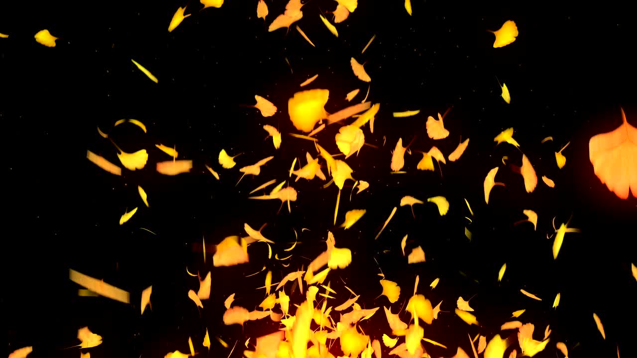 검은 바탕에 떨어지는 가을 잎, 고 잎, 루프 글리터 애니메이션