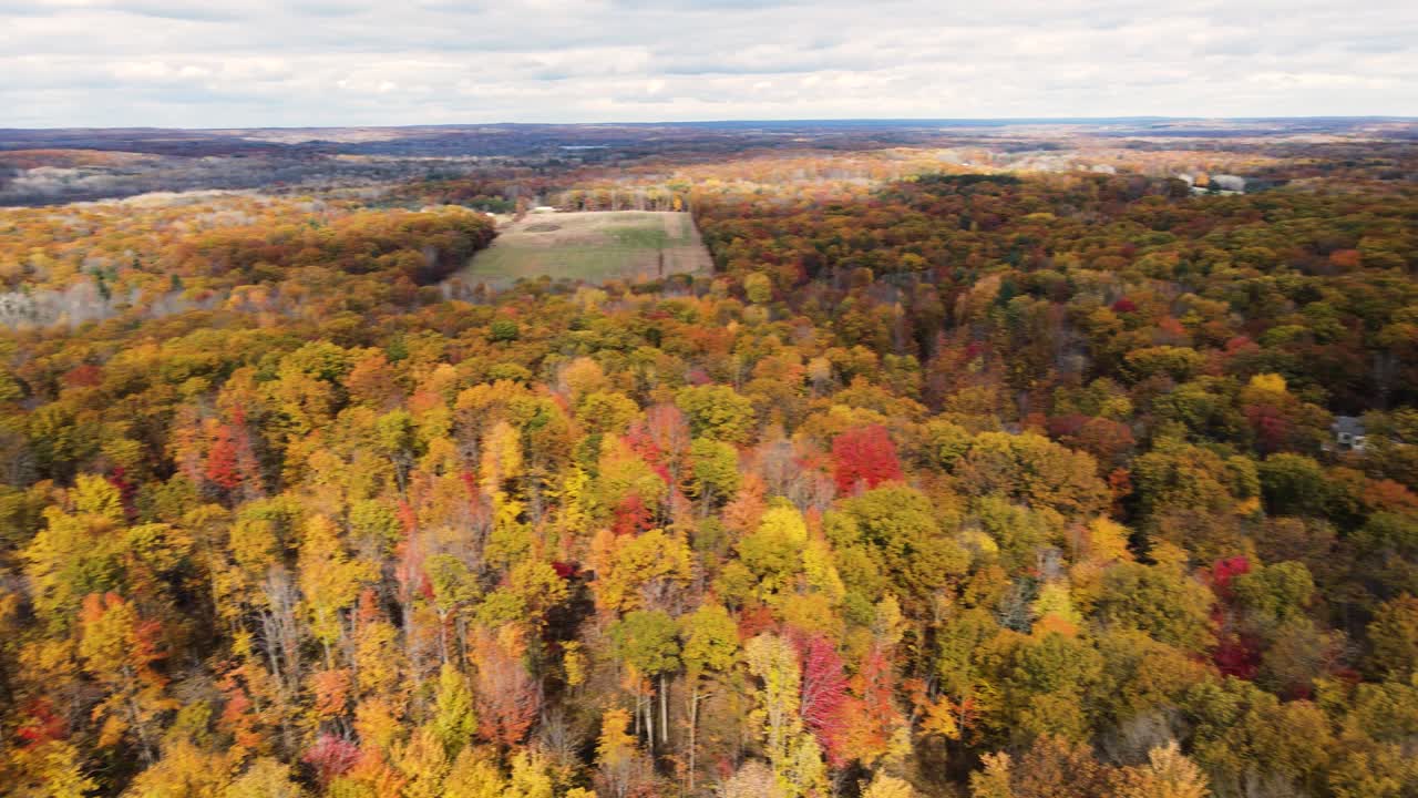 pan rápido a la izquierda