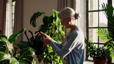 senior woman watering houseplants at home