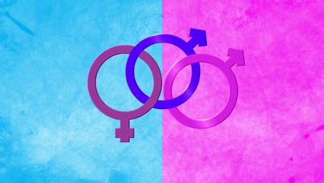 Animation-of-bisexual-symbol,-purple-and-pink-female-and-two-male-gender-symbols-on-pink-and-blue