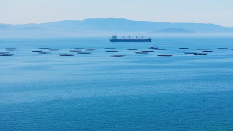 sea freight navigating across aqua sea farm during misty morning