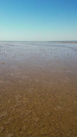 A breathtaking aerial view of Dholavira Beach in Kutch, Gujarat, India, showcasing serene waters, golden sands, and flocks of black-tailed godwits along the shore beneath a clear, sunny sky