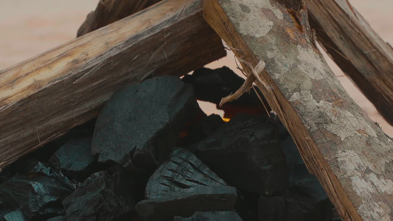 un primer plano de madera comenzando a arder en un fuego abierto