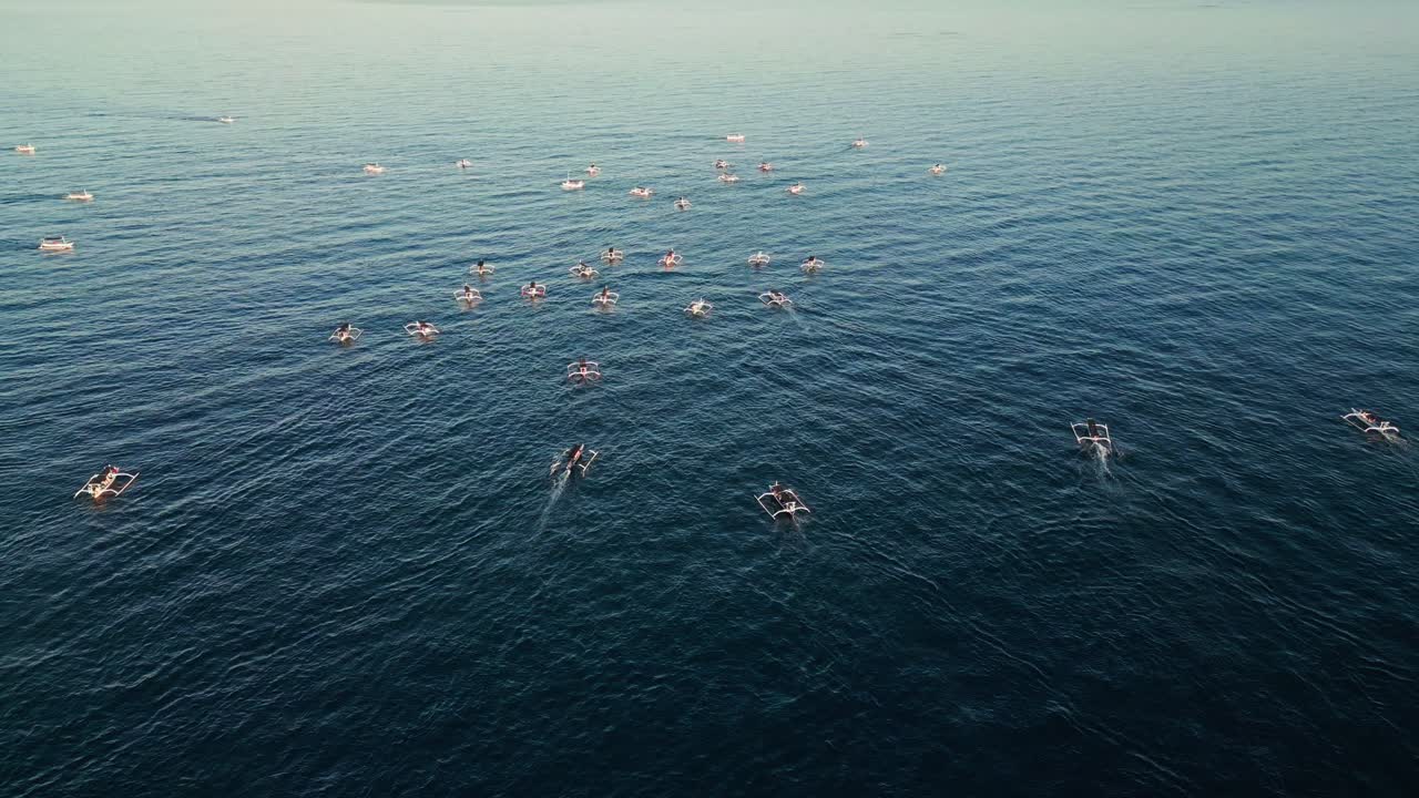 Fishermen’s wooden boats bring visitors close to wild dolphins under the morning light in Asia