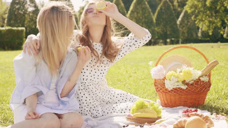 two friends enjoying a sunny picnic in a park