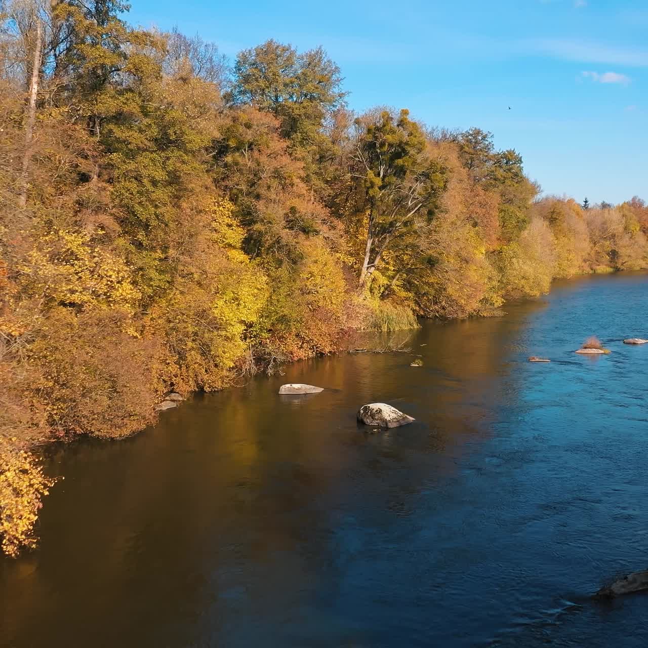 Forest and river wild landscape. Aerial view of forest with river during winter. Autumn concept
