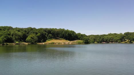 drone revela toma de lago a través de densas ramas