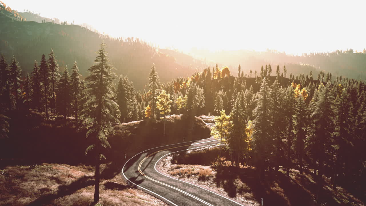 camino sinuoso a través de un bosque al atardecer