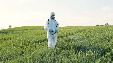 kaukasischer forschermann in weißem schutzanzug und schutzbrille, der auf dem grünen feld spazieren geht und pestizide mit pulverisator sprüht