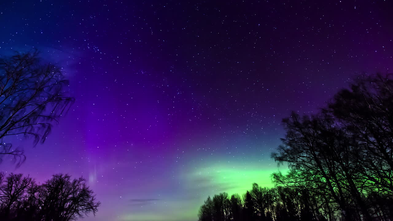 Epic Aurora Borealis and purple colored sky at night with silhouette of trees - Stars and Comets flying at sky