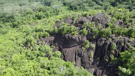 Drone-shot-moving-towards-cliff-and-lush-vegetation-on-Mahe-island,-Seychelles