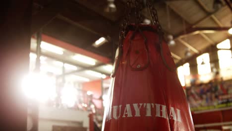 punching bag for boxing or kick boxing sport