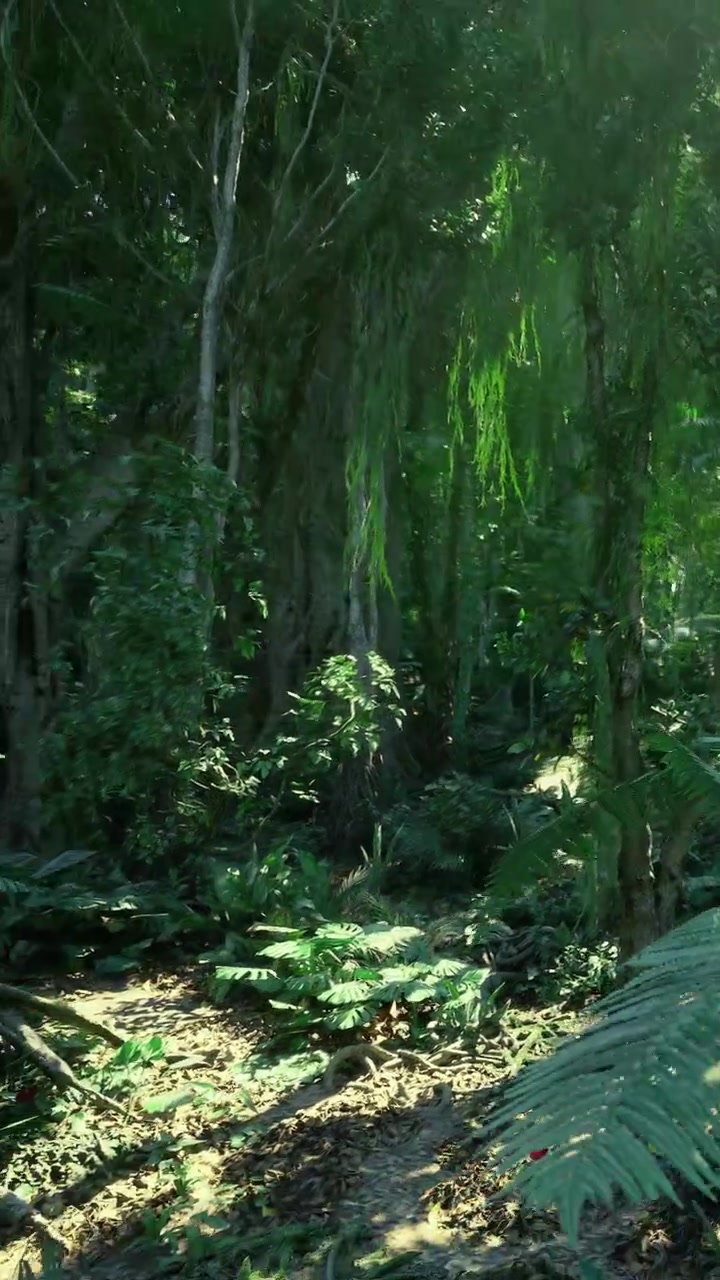 Esplorando una fitta foresta con foglie verdi e alberi alti alla luce del giorno