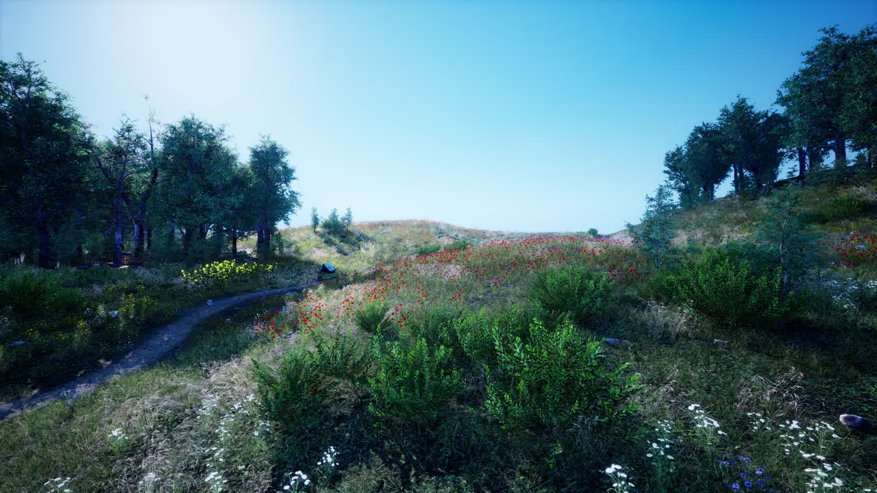 прекрасная долина с зелеными деревьями