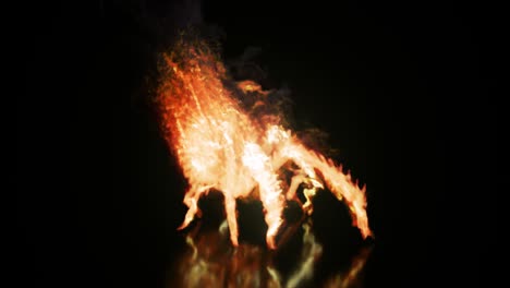 flaming dragon hand