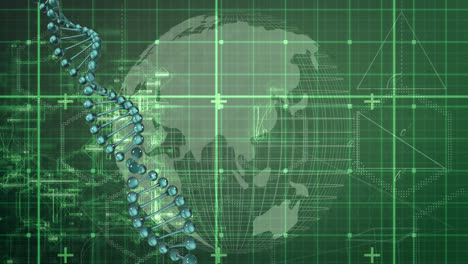 Animation-of-spinning-dna-strand-over-grid-and-globe