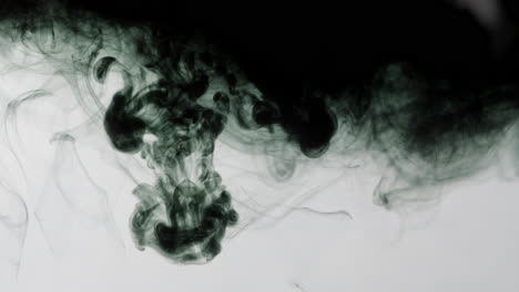 dark black fluid dissolving, expanding and swirling in water