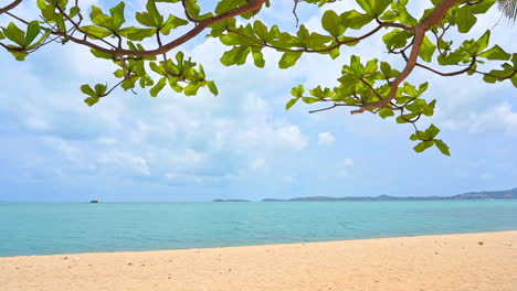 Lagoon-sandy-beach-with-a-leafy-tree-branch-in-foreground,-dense-white-low-clouds