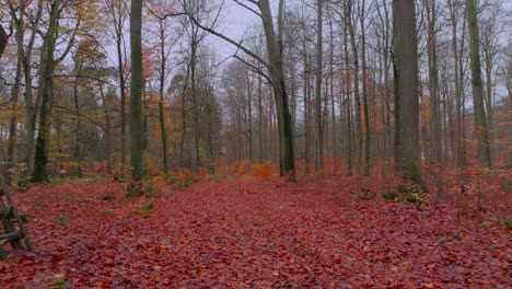 Niedriger-Kameraflug-Vorwärts-Auf-Einem-Waldweg-Vorbei-An-Einem-Jagdschloss-Im-Spätherbst