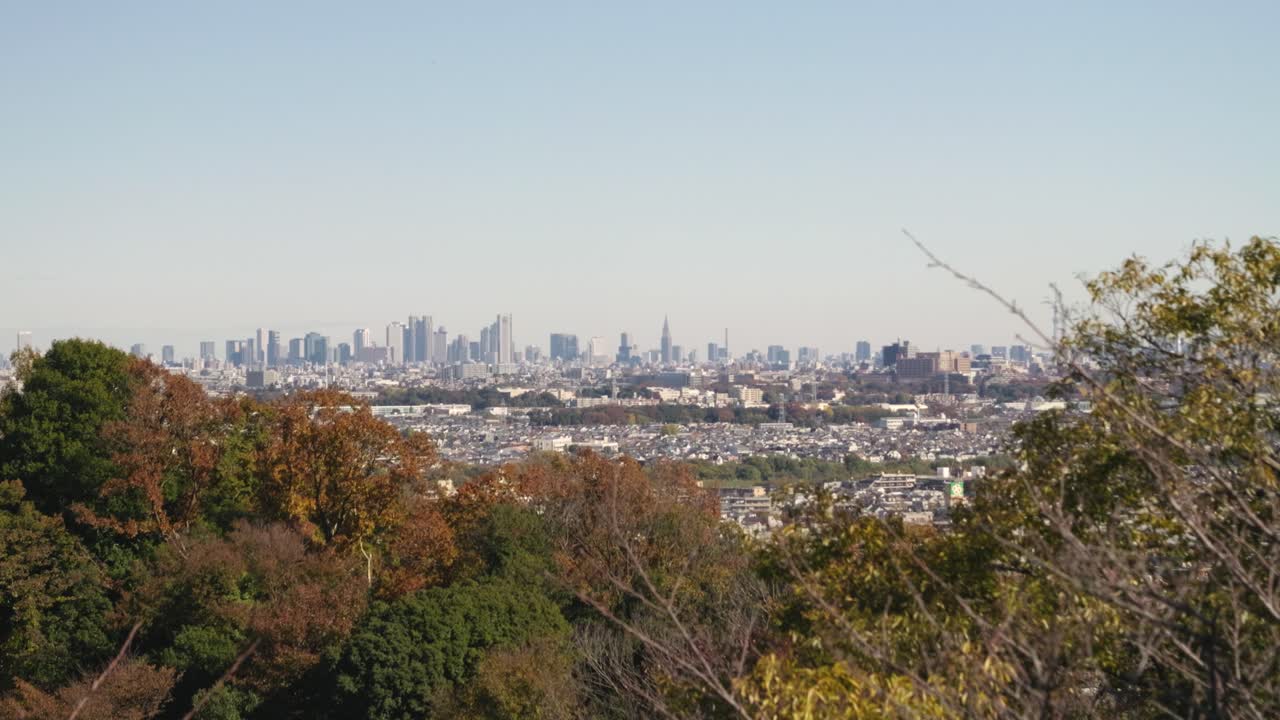 스카이 트리 와 함께 도쿄 스카이 라인 에 대한 멀리 있는 파노라마