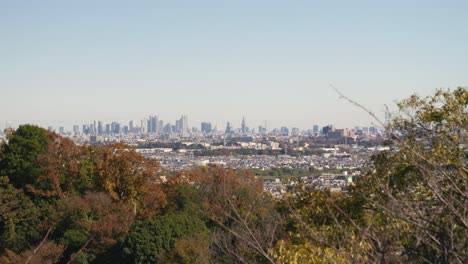vista panorámica distante sobre el horizonte de tokio con el árbol del cielo