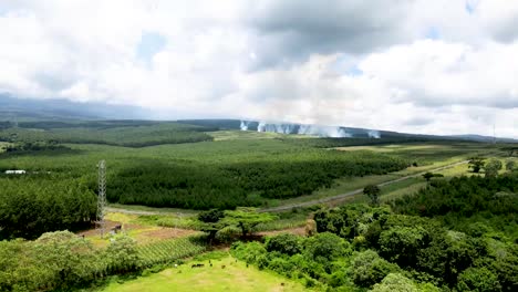 drone view -inferno -forest fire in loitokitok forest. north tanzania  forest on smoke fire. amboseli burning forest