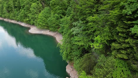 Alpine-forest-adorning-shores-of-Klontalersee-lake-in-Switzerland,aerial