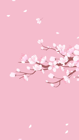 una animación de fondo de flor de cerezo dibujado a mano