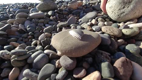 niño con manos pequeñas está destruyendo conchas marinas al estrellarse con una roca enorme