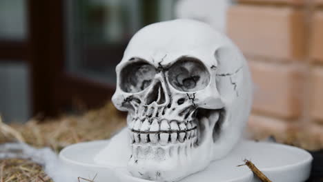 halloween decoration outdoors