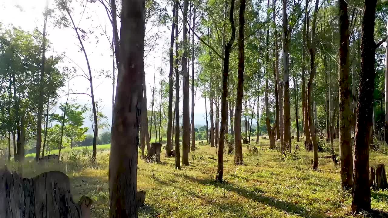 파노라마 농촌 풍경