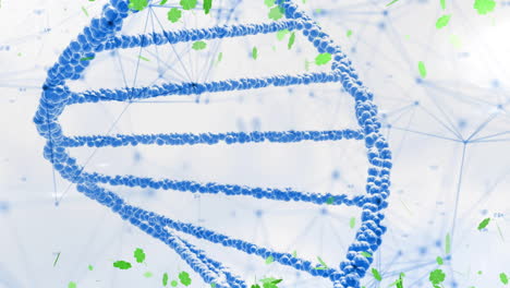 dna strand with green clovers and network connections in scientific animation