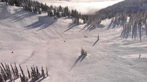 Toma-Aérea-Inclinada-Hacia-Abajo-De-Personas-Conduciendo-Motos-De-Nieve-En-Las-Colinas-Nevadas-De-Revelstoke,-Canadá