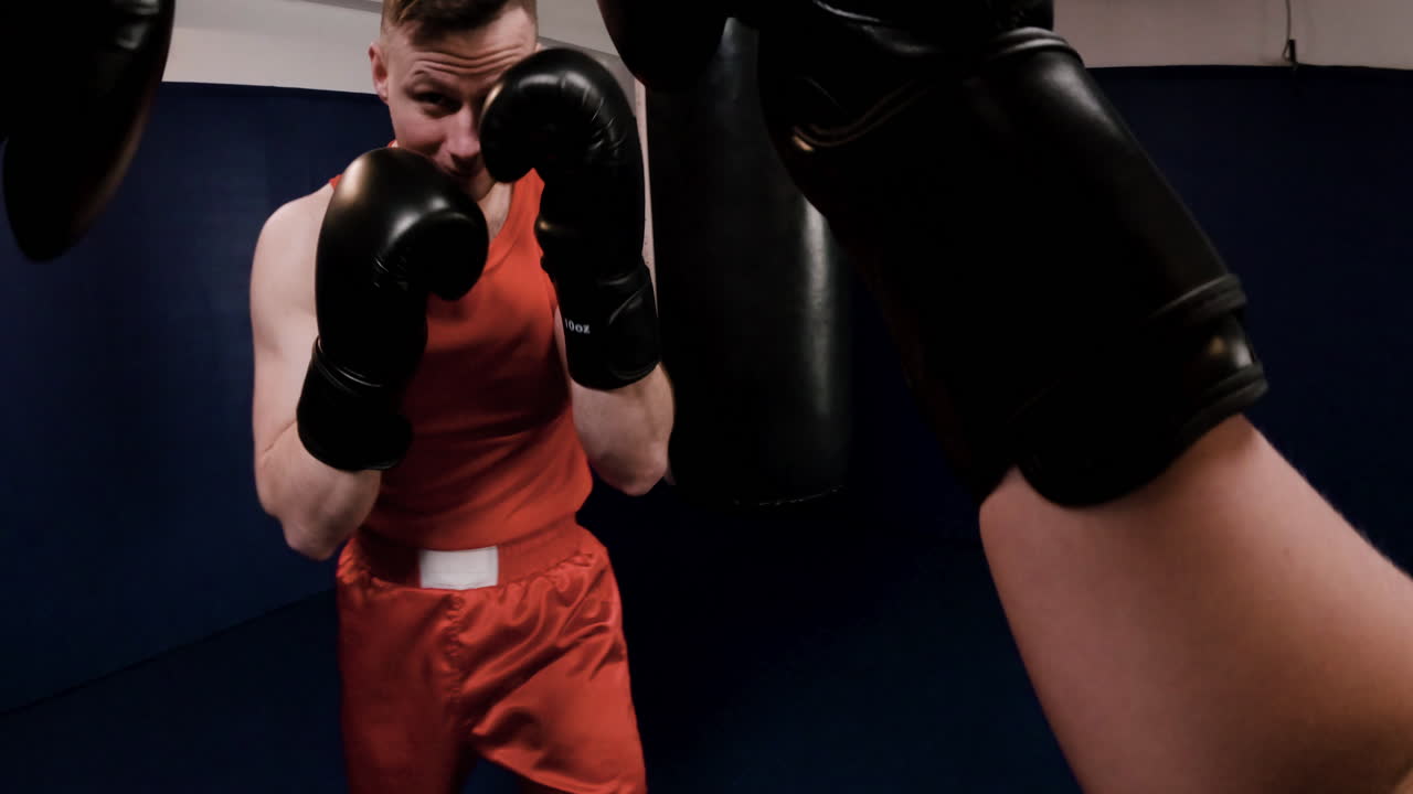 권투 훈련 세션