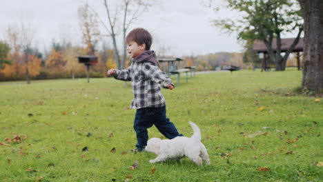 An-energetic-Asian-toddler-runs-away-from-small-puppies.-Puppies-run-after-the-baby-on-the-lawn