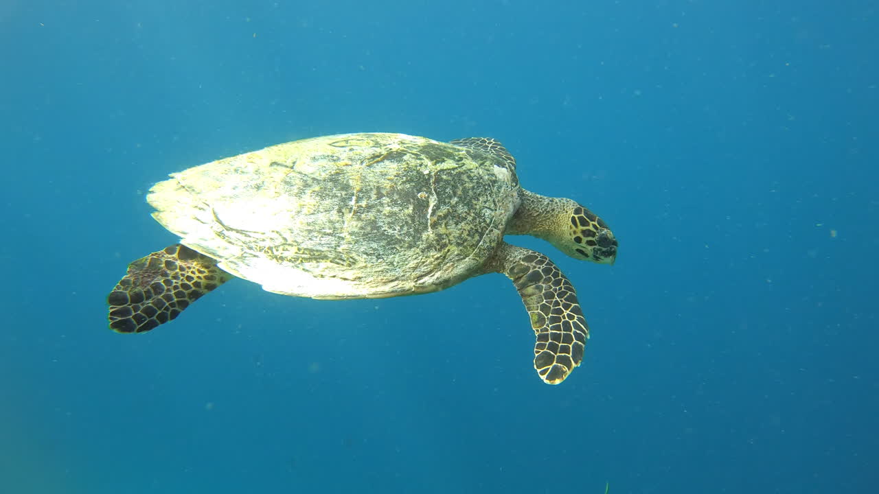 He's always headed for the top