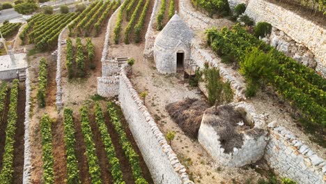 Aerial-panoramic-view-over-Locorotondo-terrace-vineyard,-traditional-italian-hilltop-town,-at-sunset