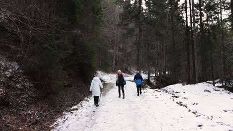 tourists trekking on snow-covered dirt road in forest woods during winter