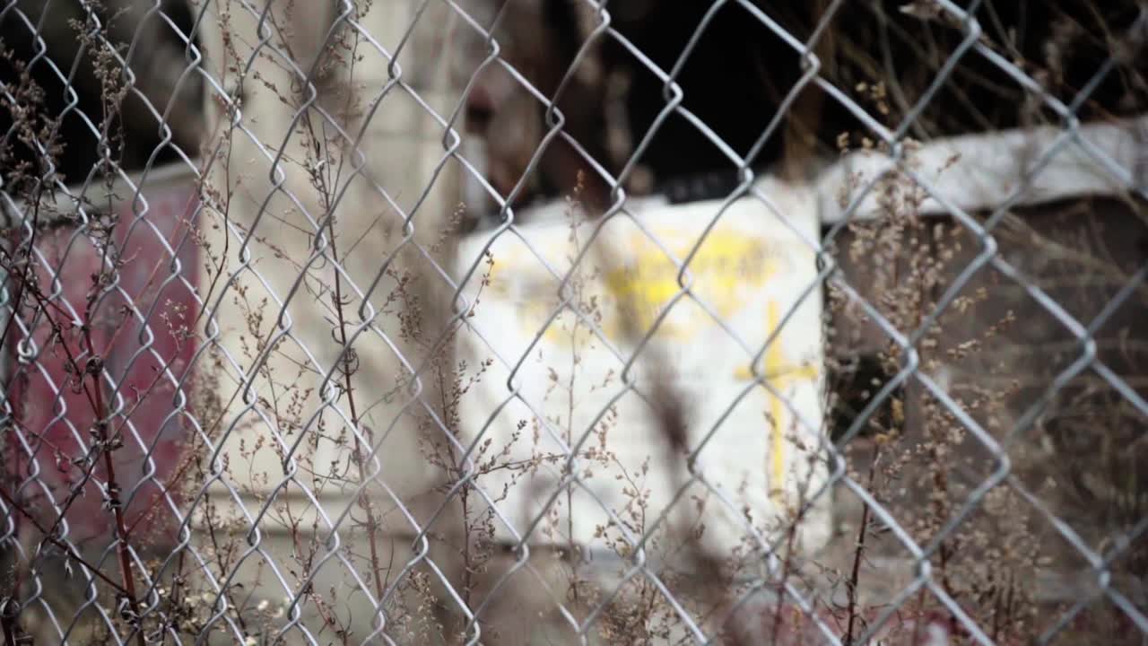 버려진 교회 울타리