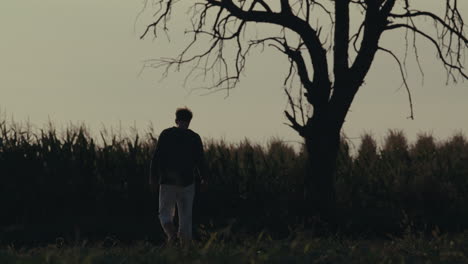 man walking in silhouette towards a bare tree at dusk
