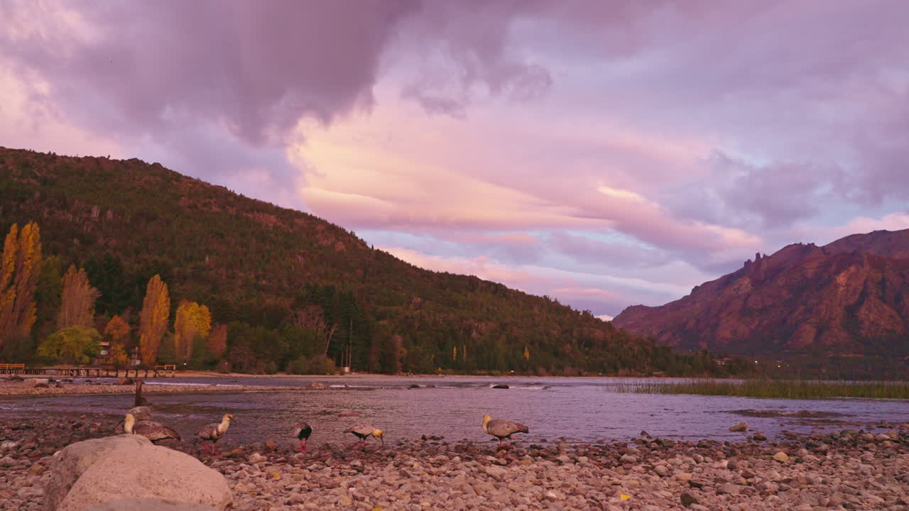 Cielo colorido al atardecer sobre un lago de montaña con aves en la orilla rocosa