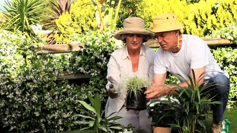 Pareja-Madura-Trabajando-En-El-Jardín