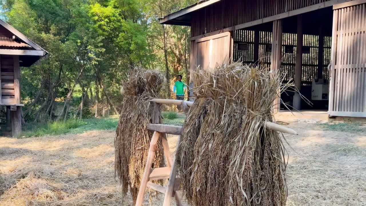 나무로 만든 창고 밖 에서  어리 들 이 건조 하고 있다