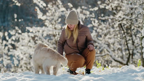 young woman playing with her golden retriever in a snowy park on a clear winter day