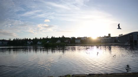 walk through hljómskála park at sunset