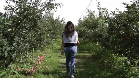 female walking alone in a pathway at the rural fruit farm