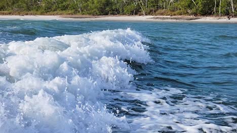 closeup of dolphins jumping through waves close behind motor boat as they swim and follow the engine in the ocean