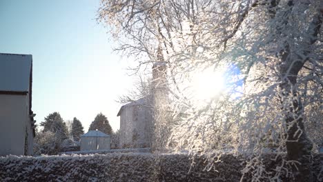 Primer-Plano-Del-árbol-Nevado-Con-Destello-De-Lente-A-Través-Del-árbol-Distante